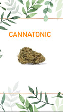 Charger l'image dans la galerie, Cannatonic Indoor
