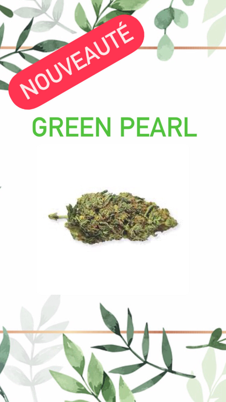 Green Pearl Indoor
