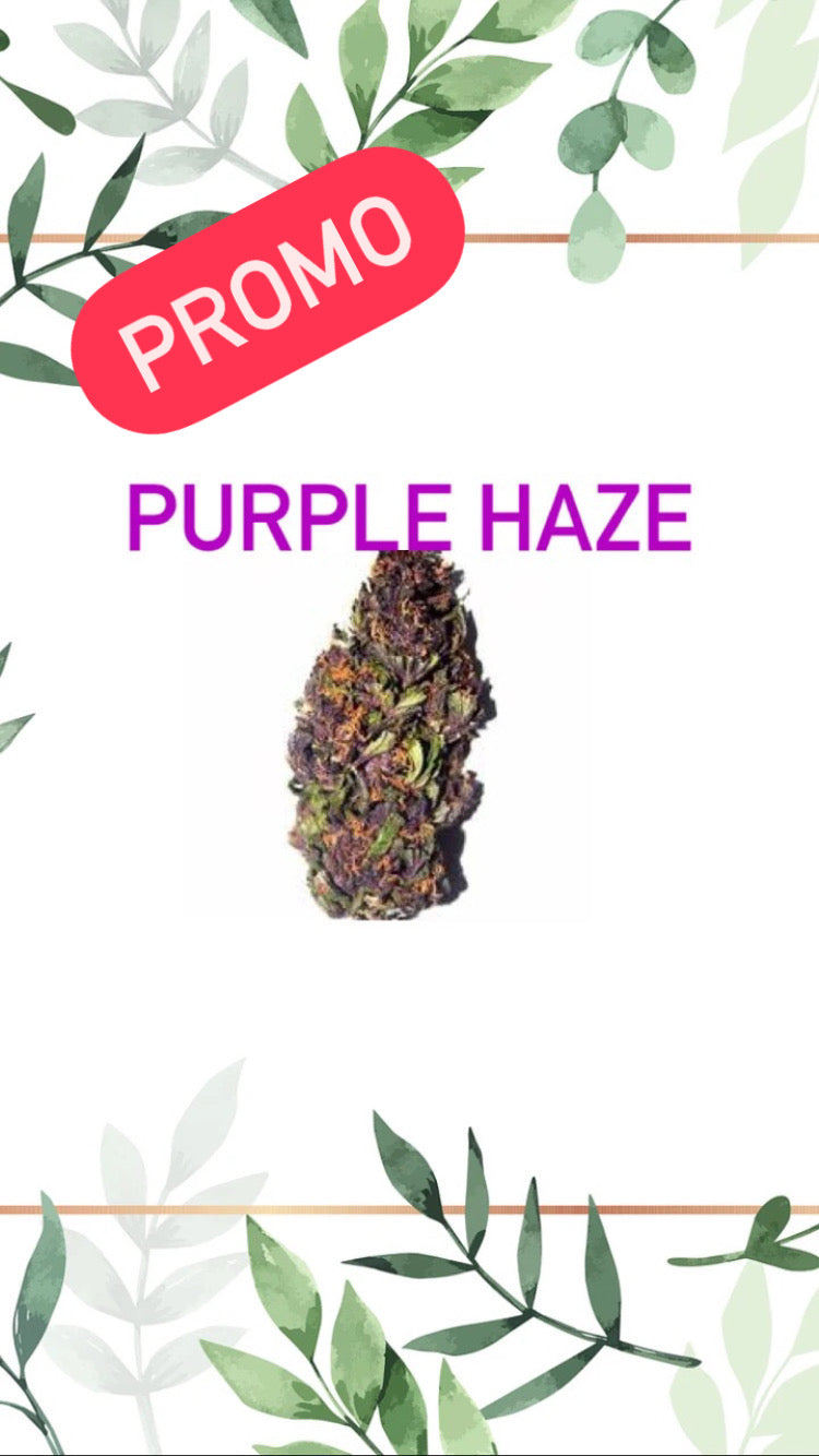 Purple Haze Greenhouse