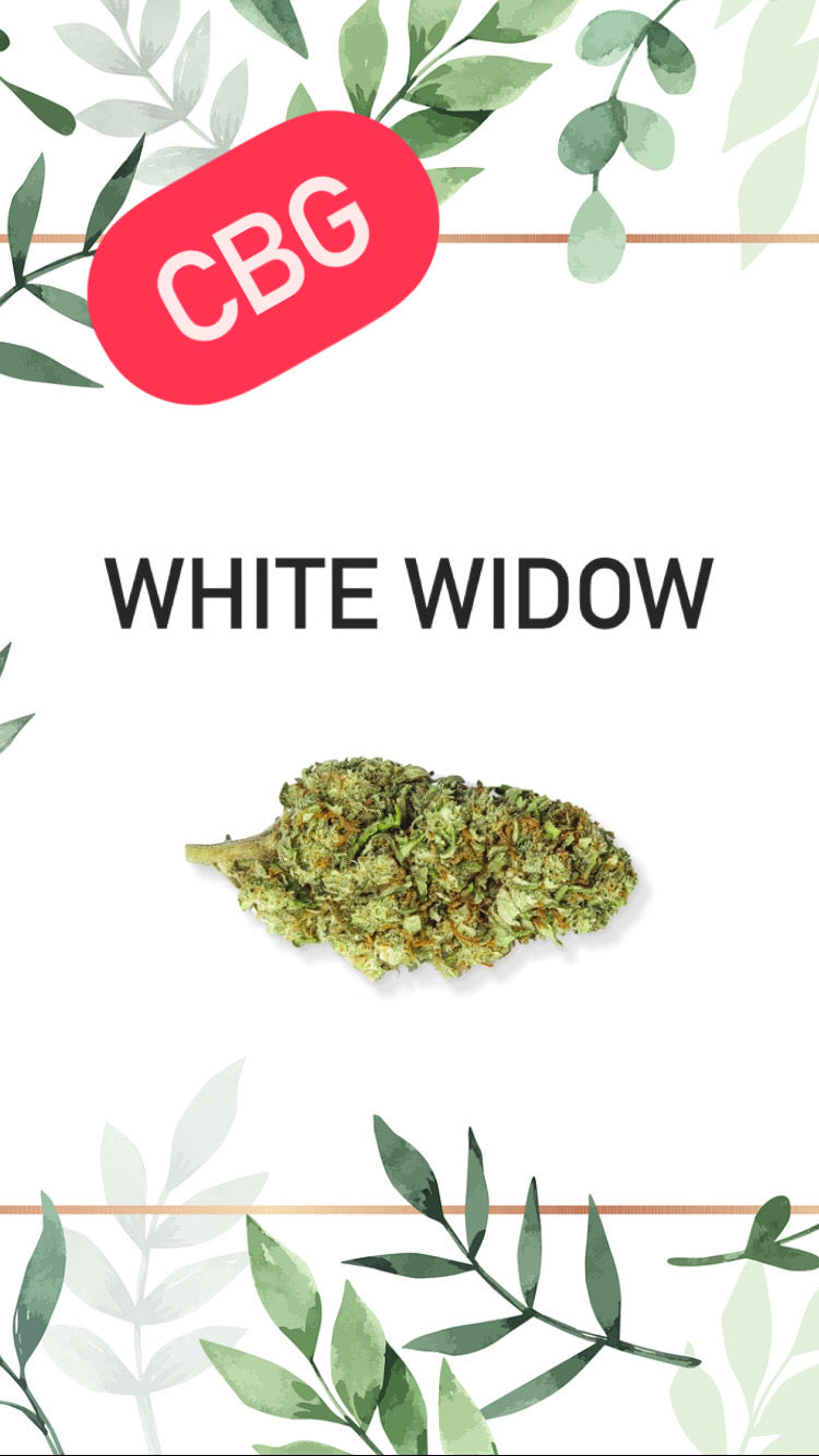 White Widow CBG Indoor