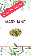 Charger l&#39;image dans la galerie, Mary Jane Indoor «Small Buds»
