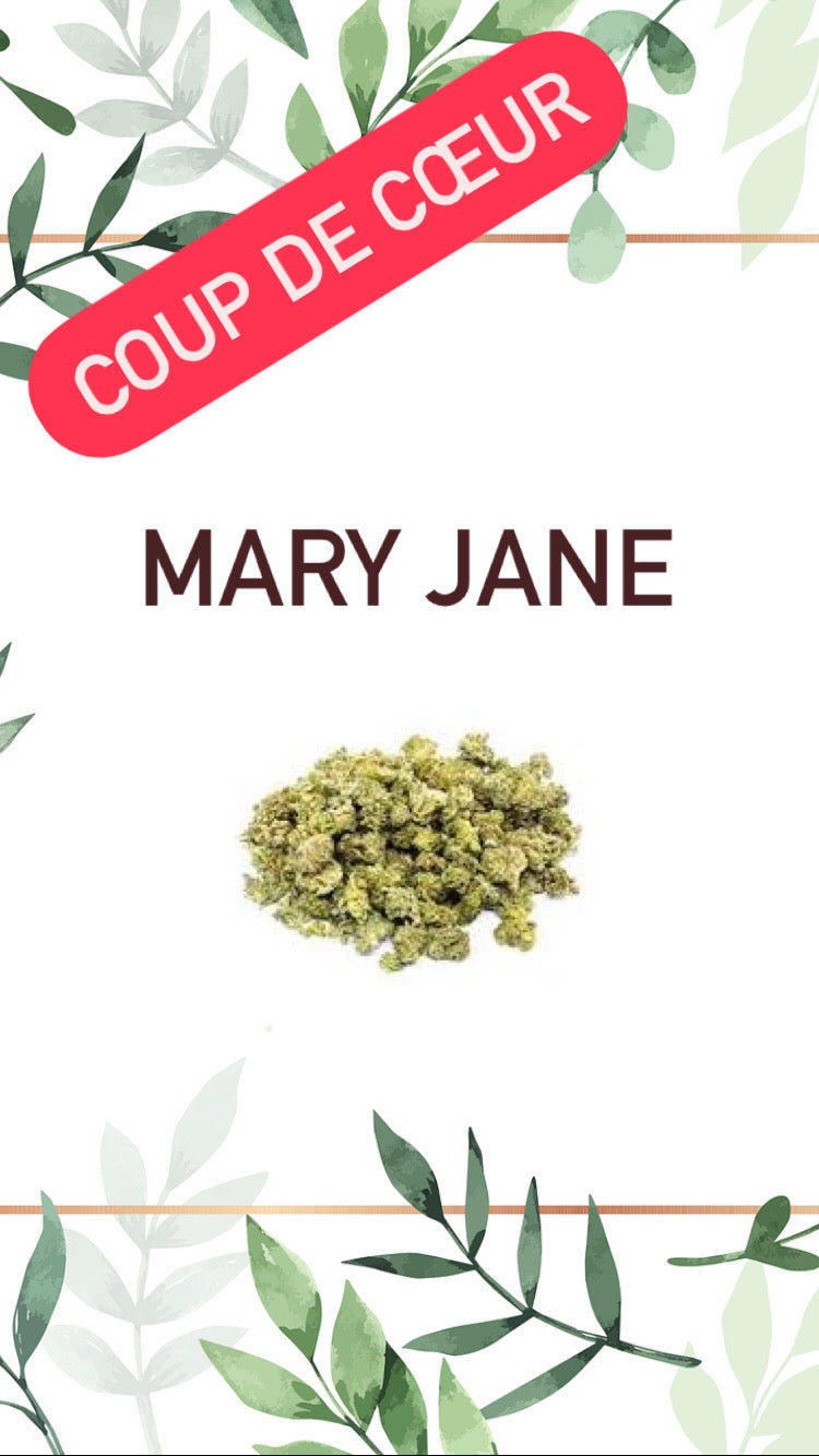 Mary Jane Indoor «Small Buds»