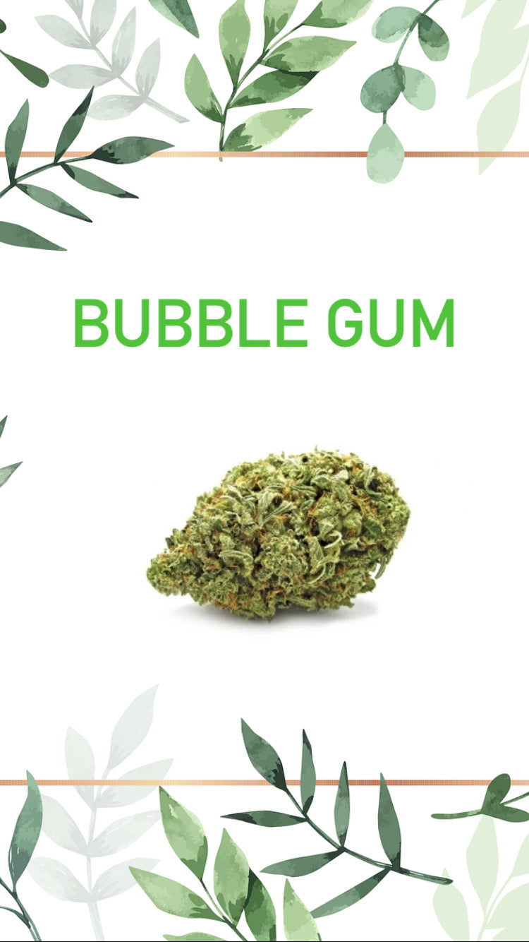 Bubble Gum Greenhouse