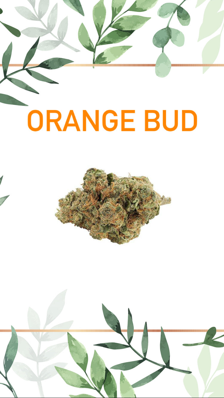 Orange Bud Greenhouse